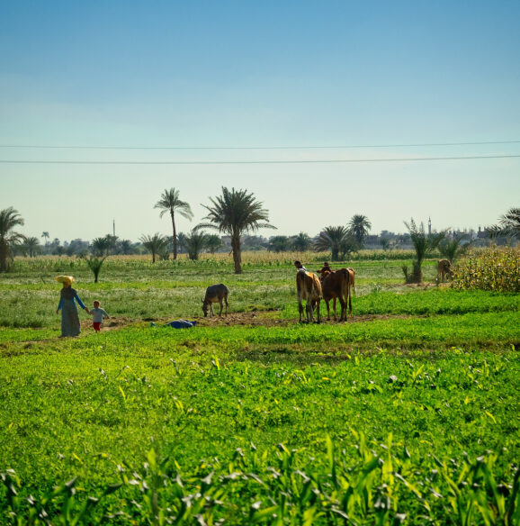 why choose us (agriculture)